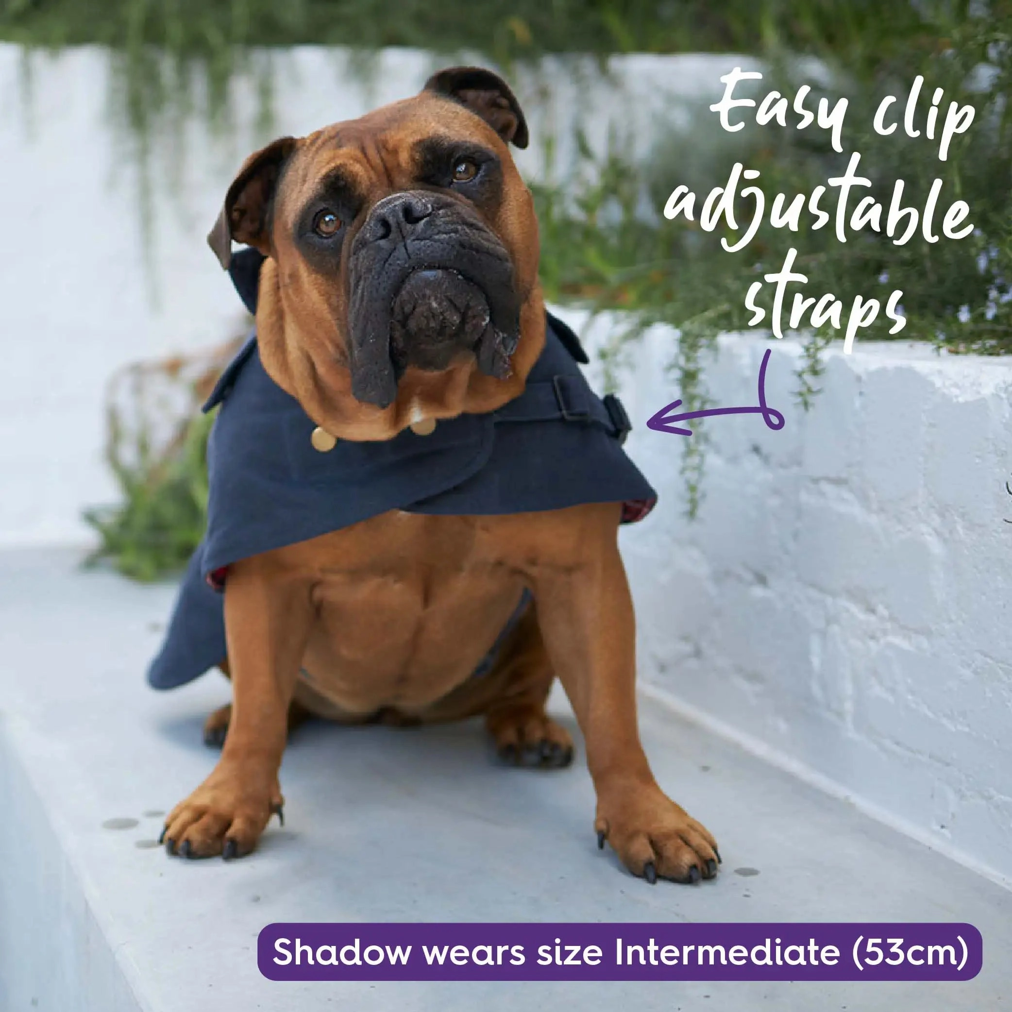 Aussie Oilskin Waterproof Dog Coat - Navy