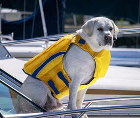 BayDog Monterey Bay Life Jacket Offshore Edition (Customer Return)