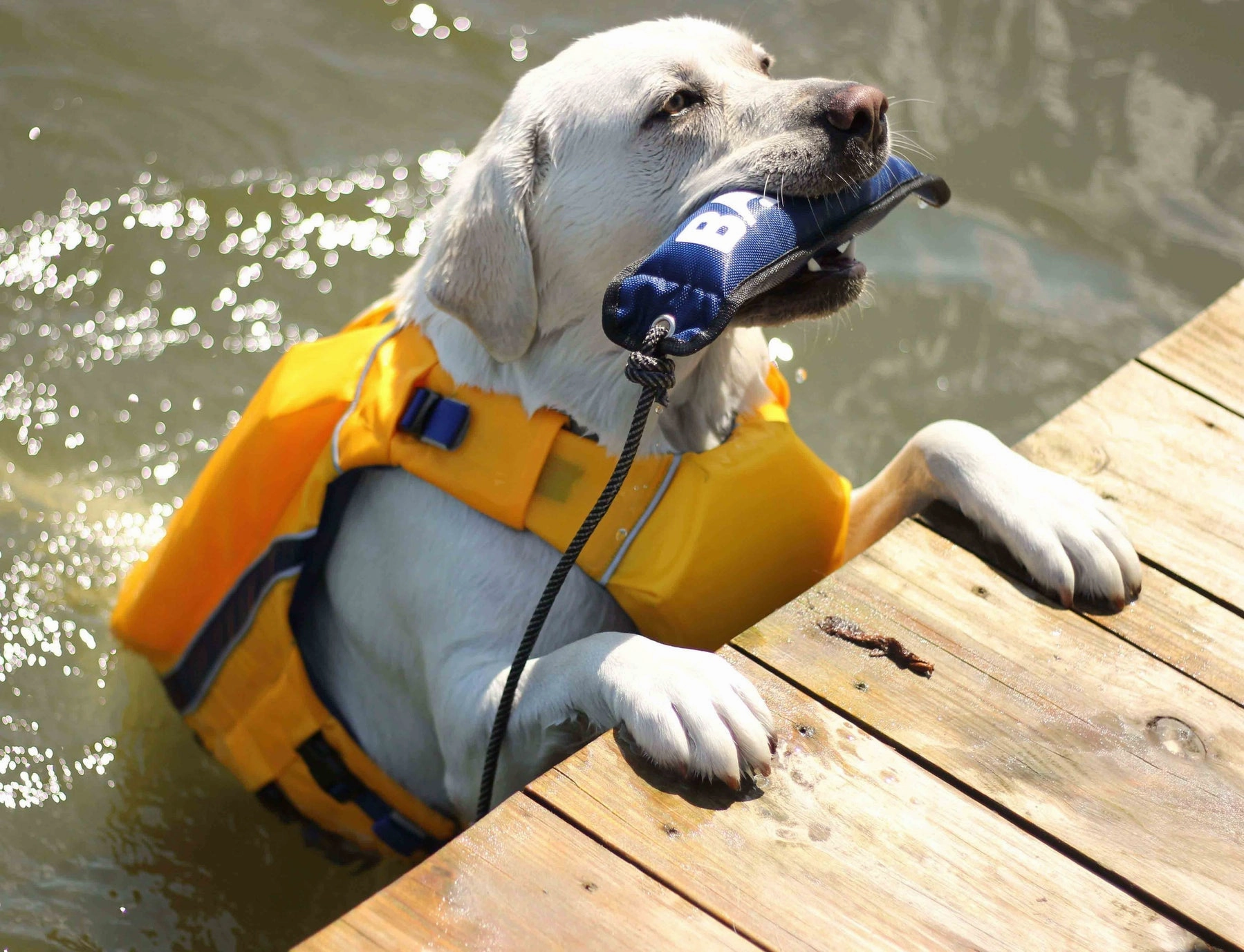 BayDog Monterey Bay Life Jacket Offshore Edition (Customer Return)