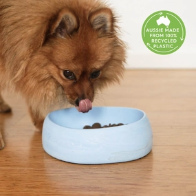 DOG BOWLS
