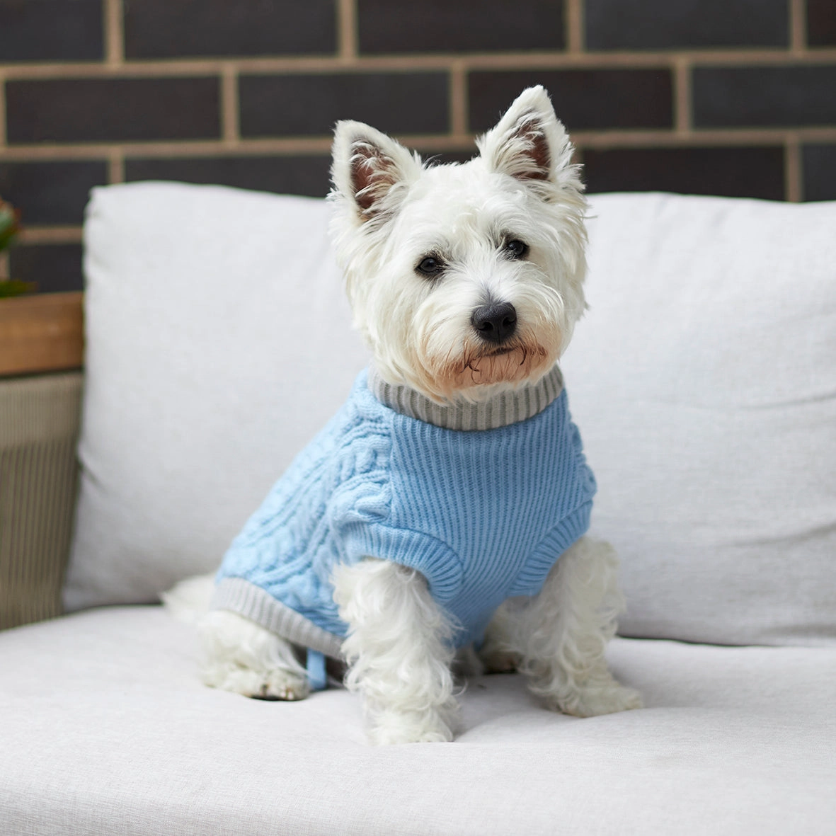 Blue Cloud Cable Knit Dog Jumper