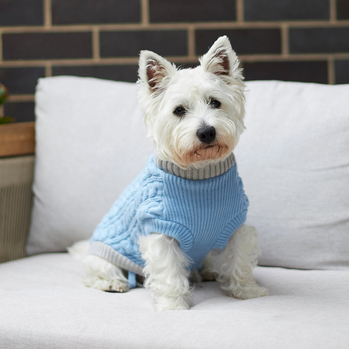 Blue Cloud Cable Knit Dog Jumper