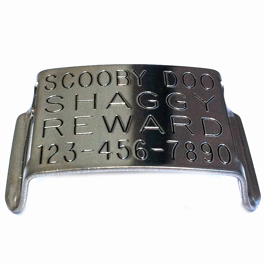 Boomerang Double-Thick Slide On Dog CollarTag? - Stainless Steel