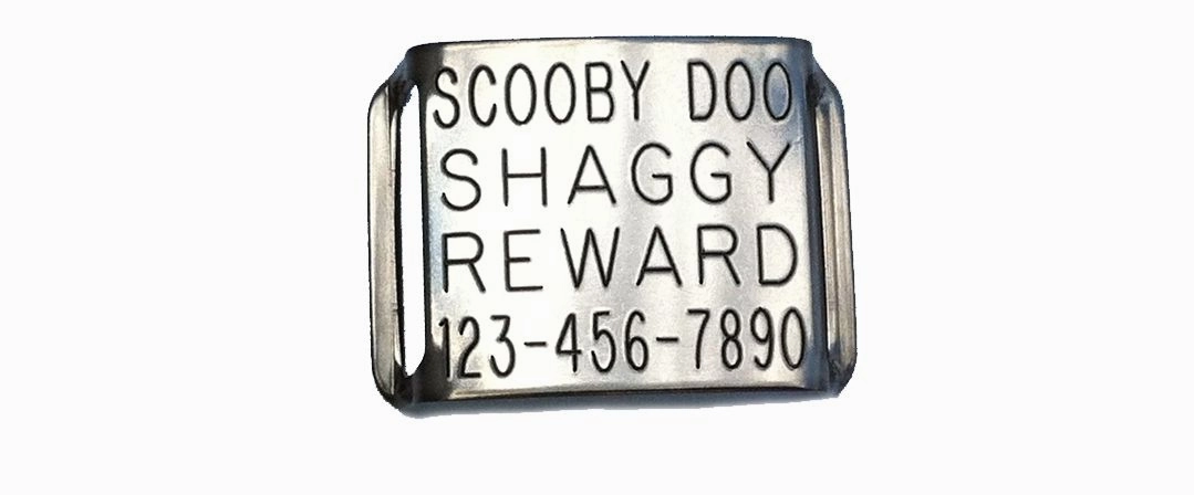 Boomerang Double-Thick Slide On Dog CollarTag? - Stainless Steel