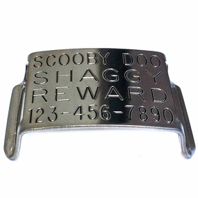 Boomerang Double-Thick Slide On Dog CollarTag? - Stainless Steel