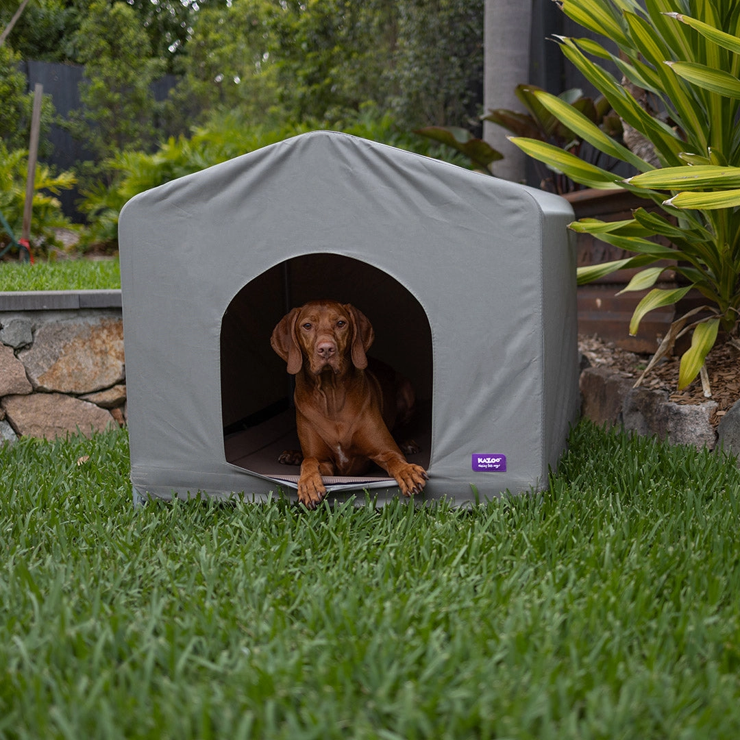 Cabana Dog House - Cappuccino