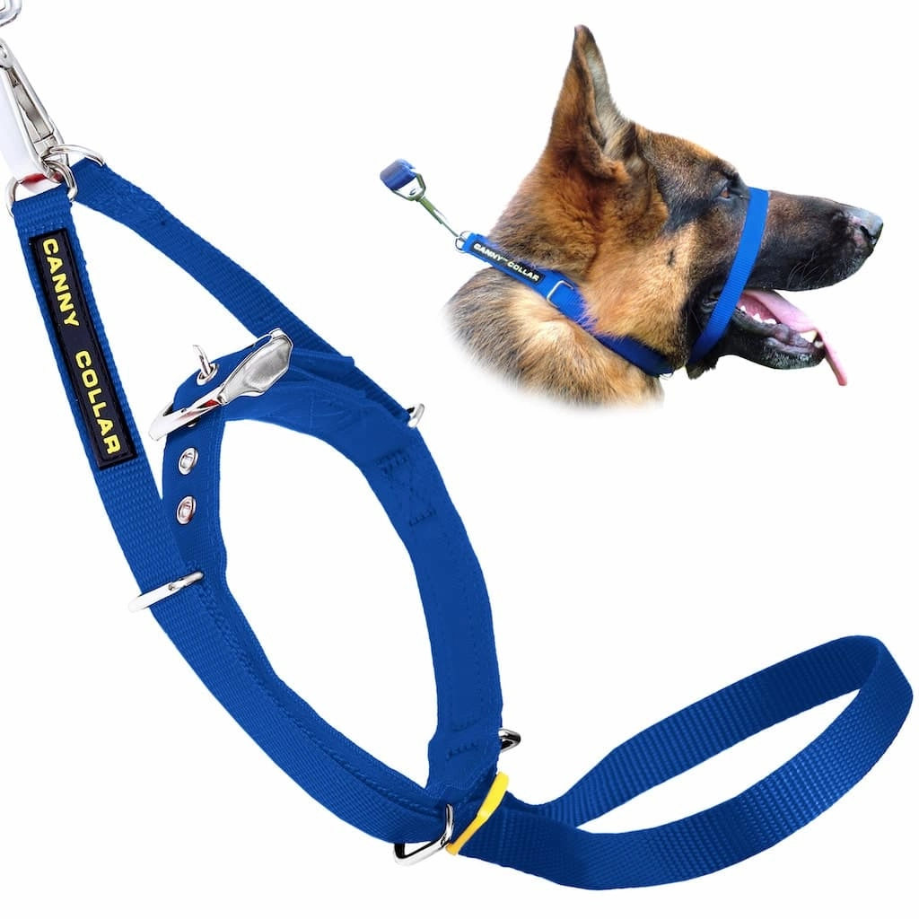 Canny Collar No Pull Dog Collar