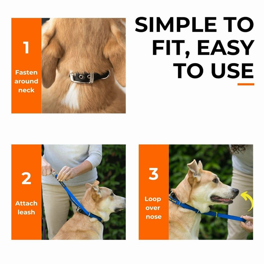 Canny Collar No Pull Dog Collar