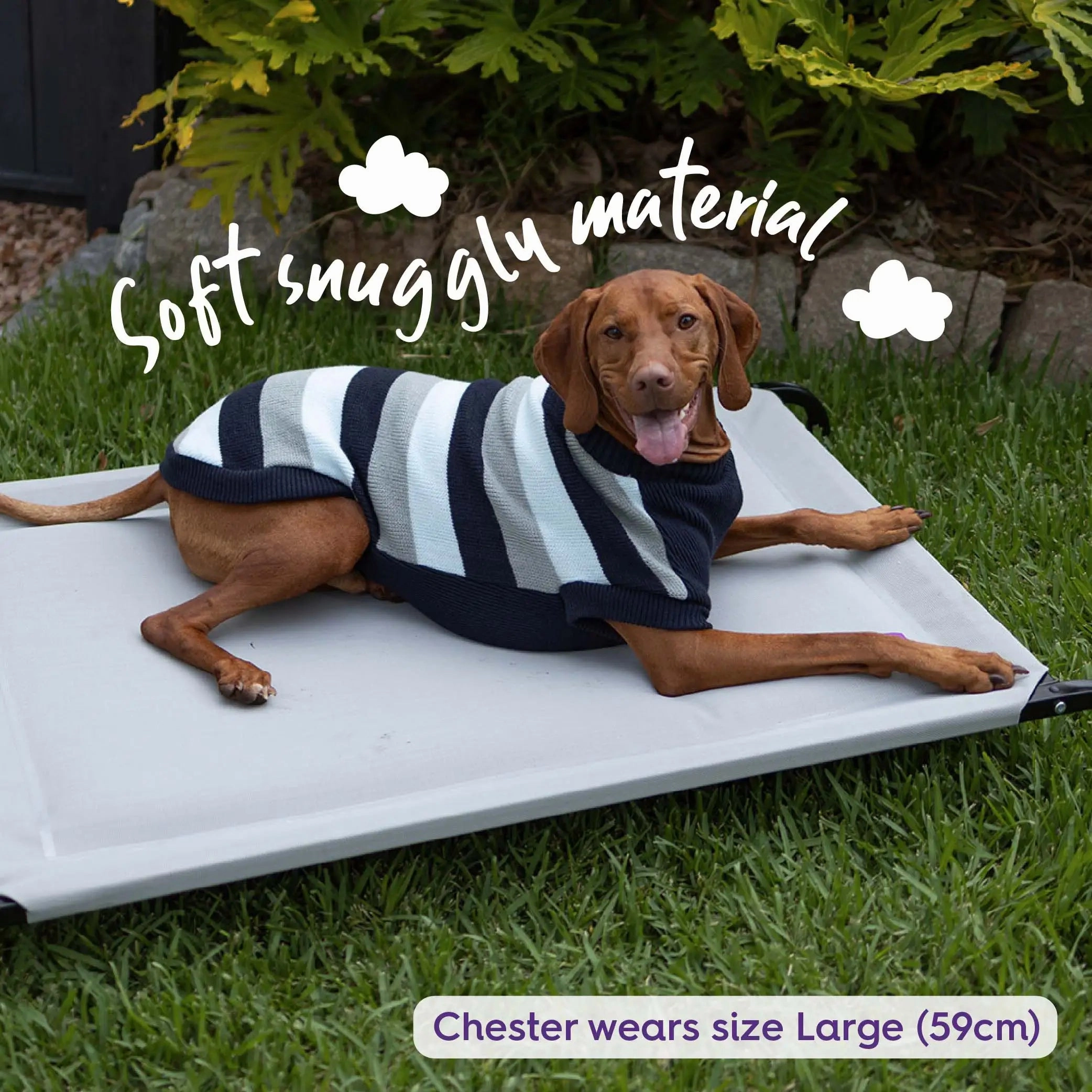 Chestie Dog Jumper - Blue