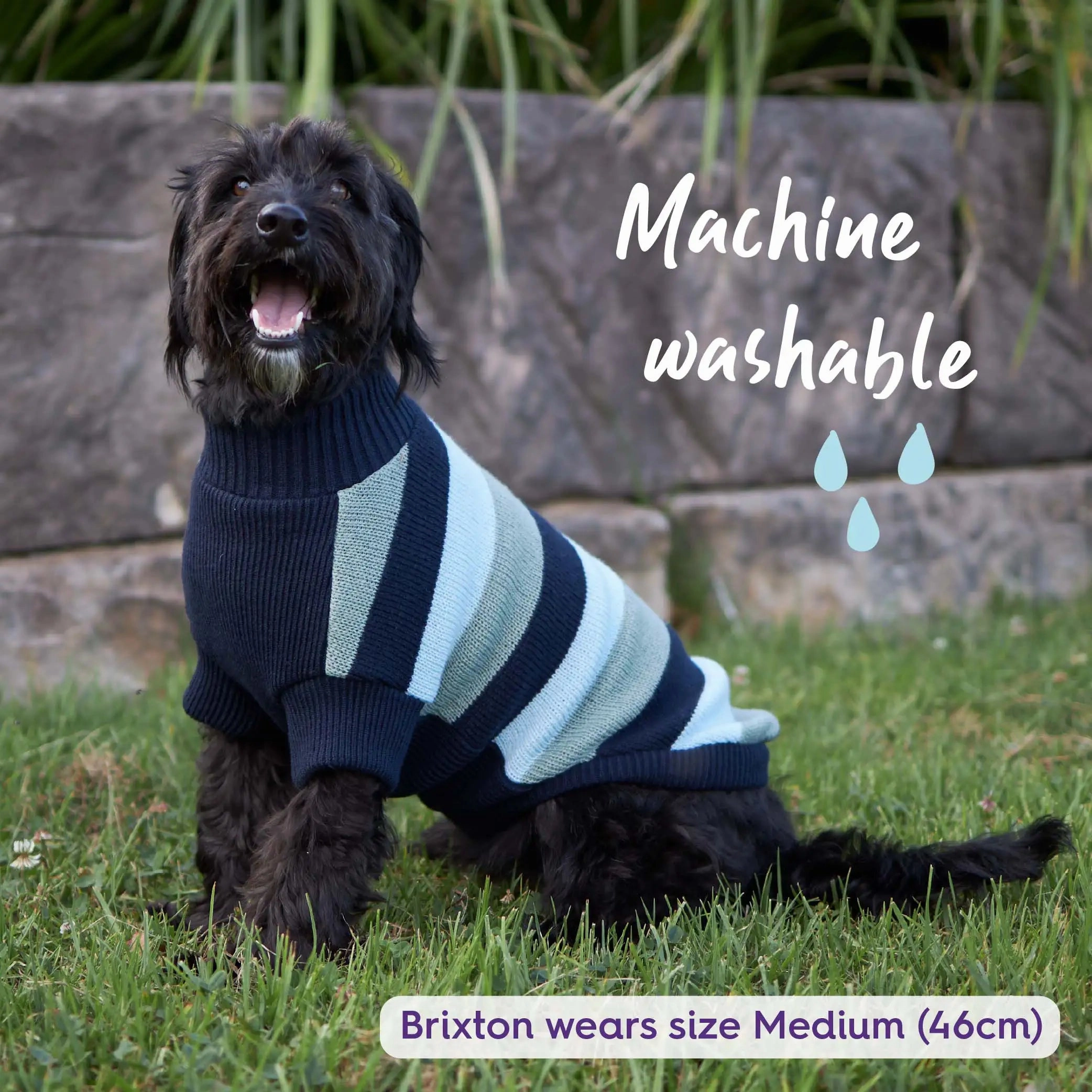 Chestie Dog Jumper - Blue