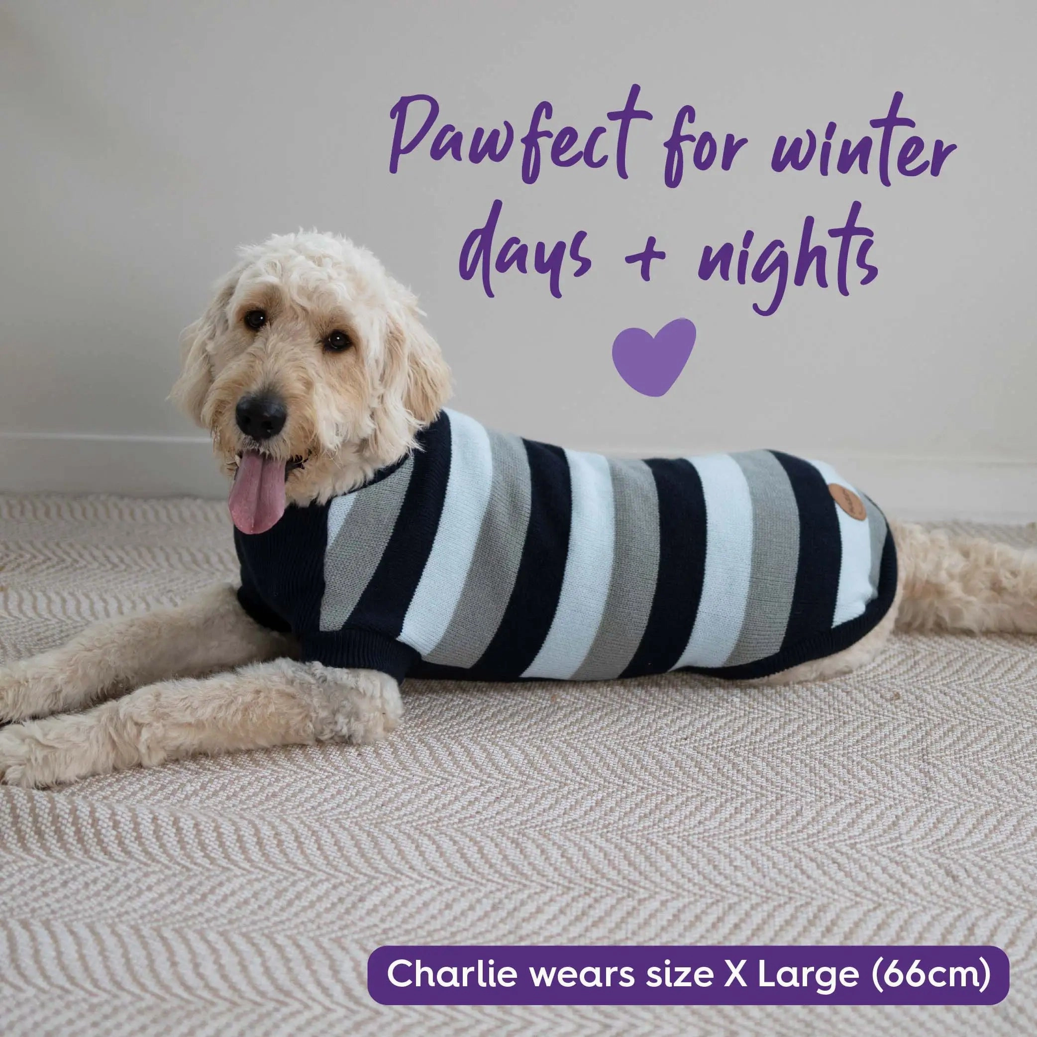 Chestie Dog Jumper - Blue