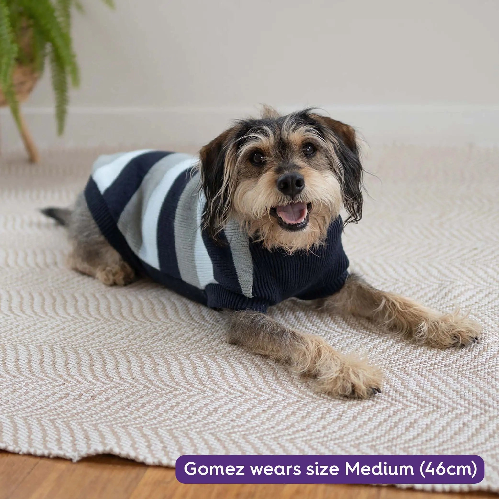 Chestie Dog Jumper - Blue