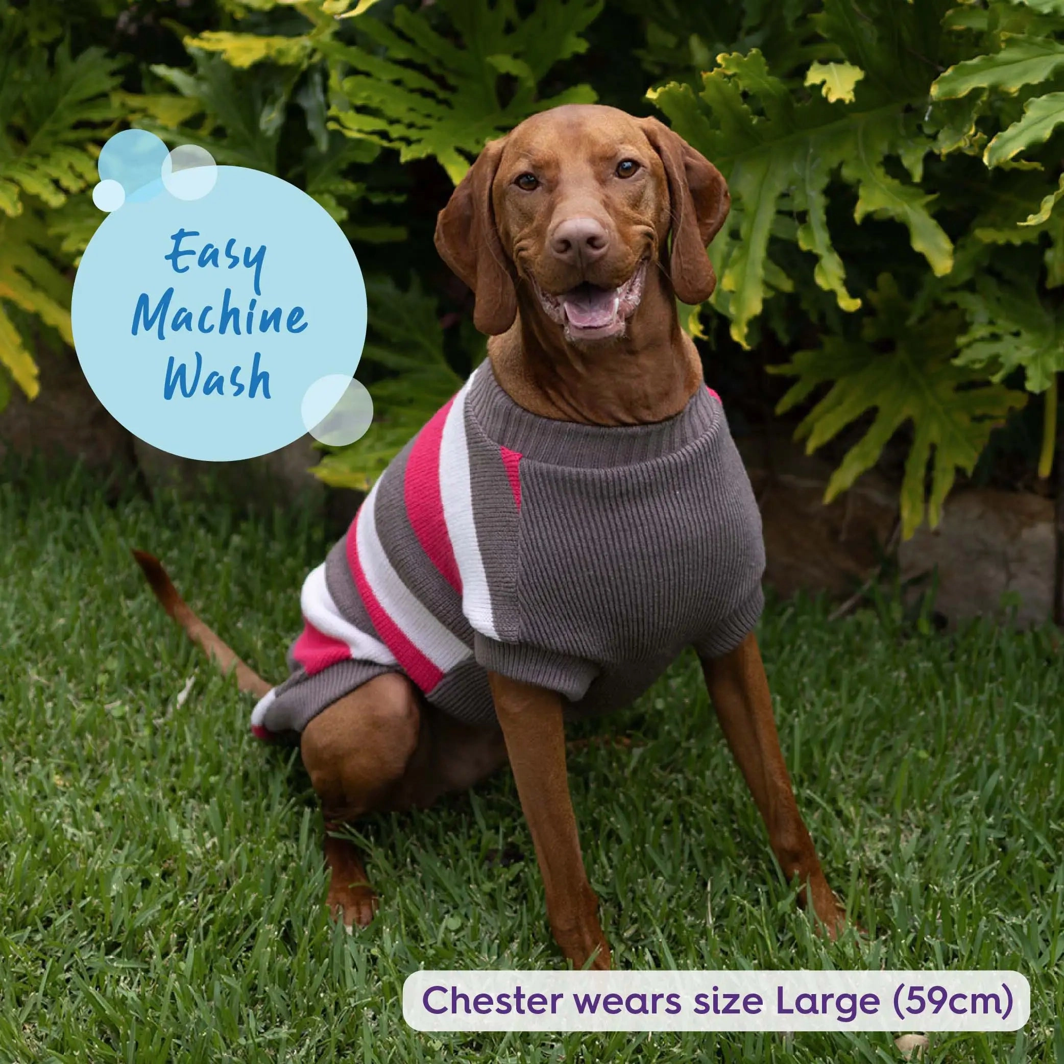 Chestie Dog Jumper - Pink