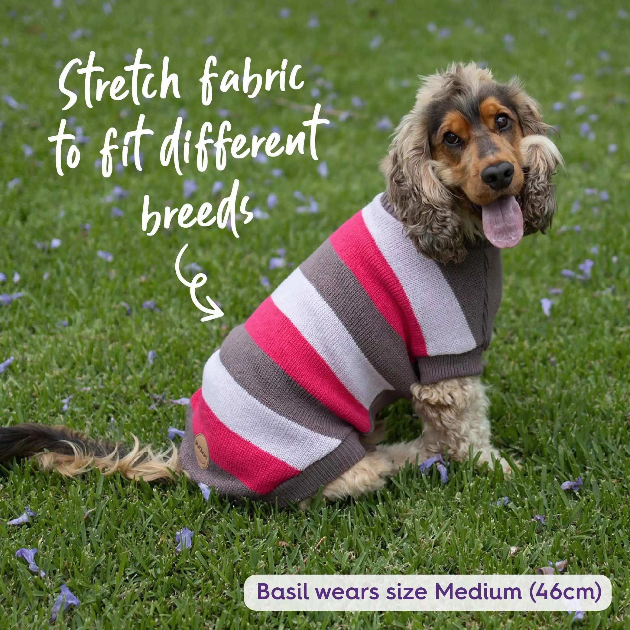 Chestie Dog Jumper - Pink