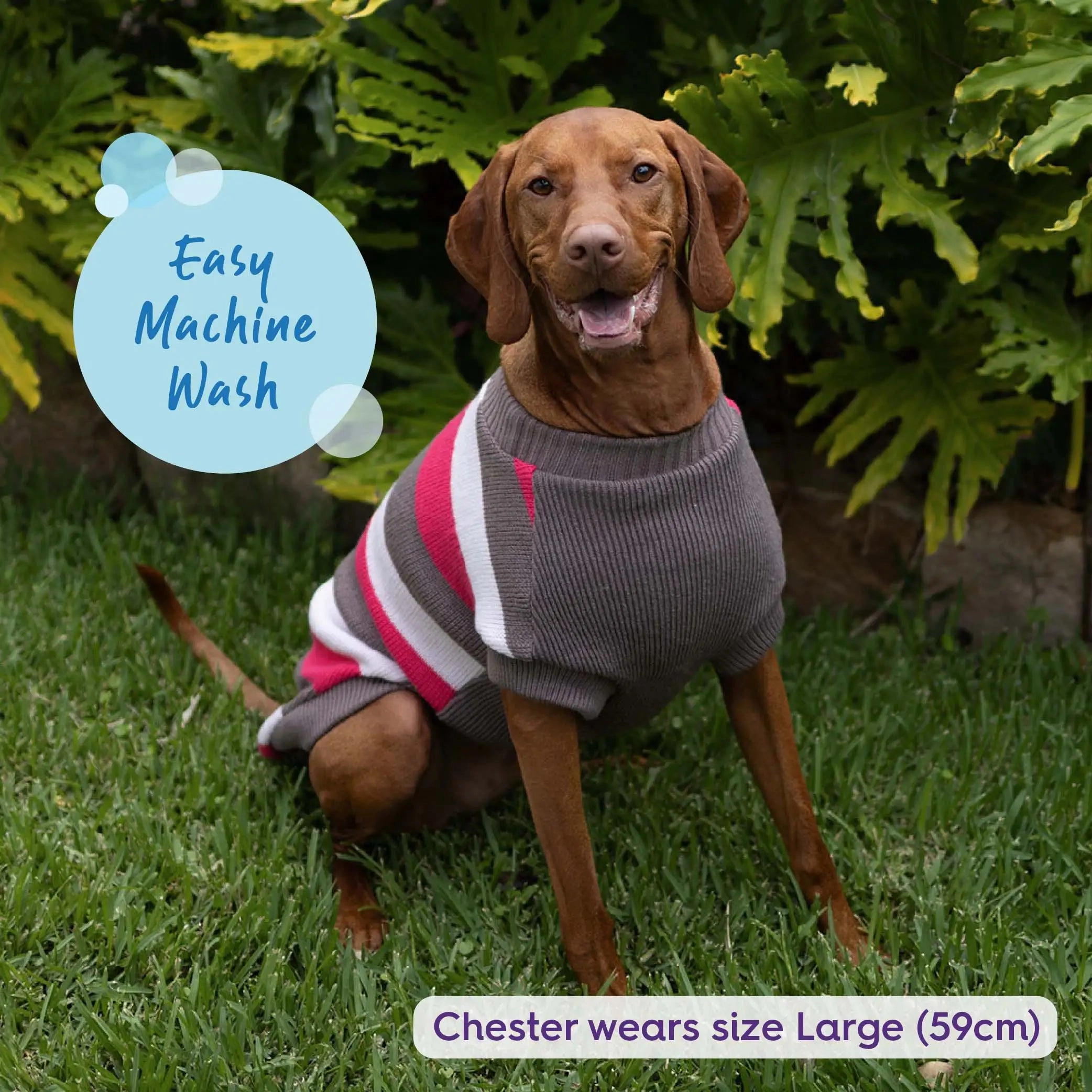 Chestie Dog Jumper - Pink