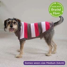DOG JUMPERS