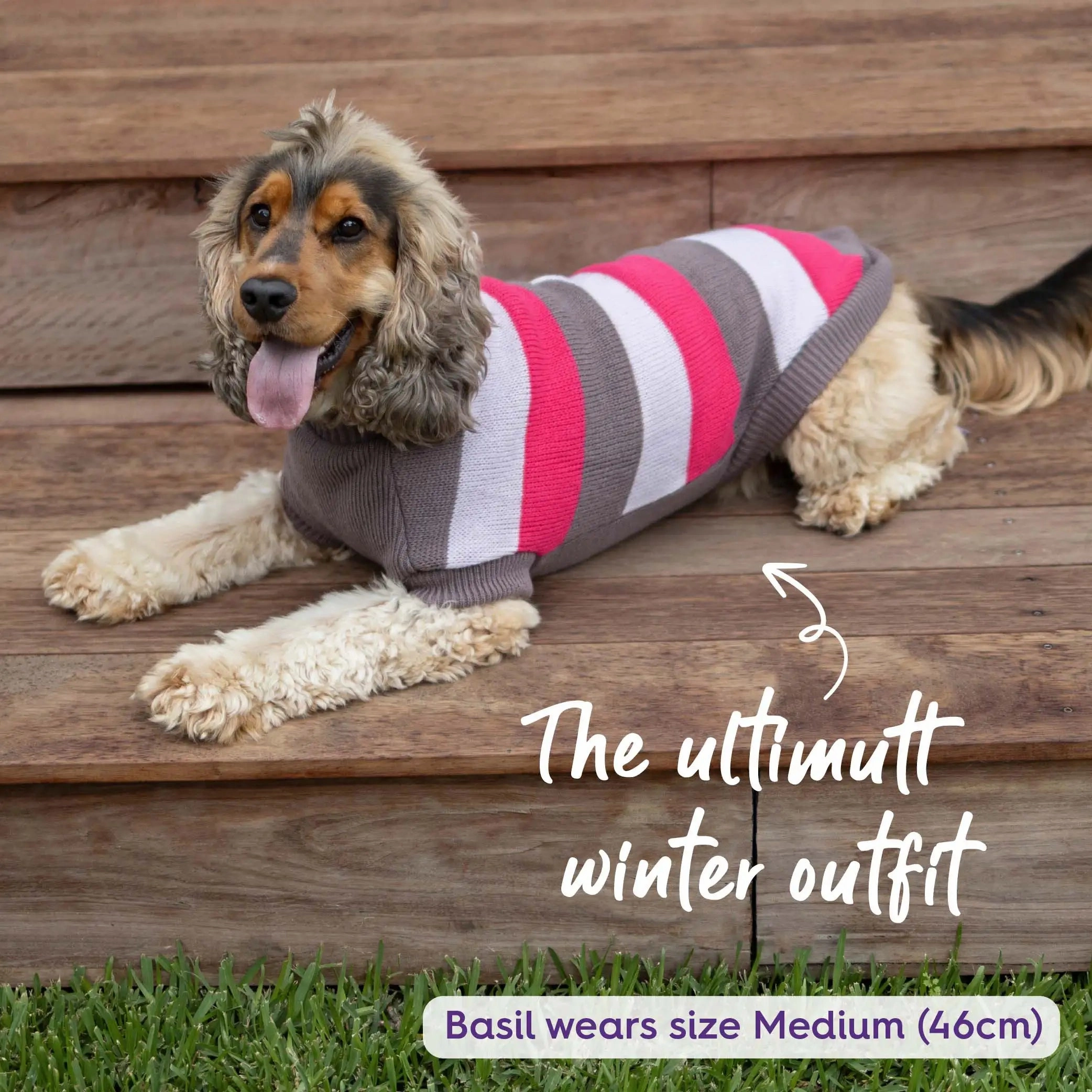 Chestie Dog Jumper - Pink