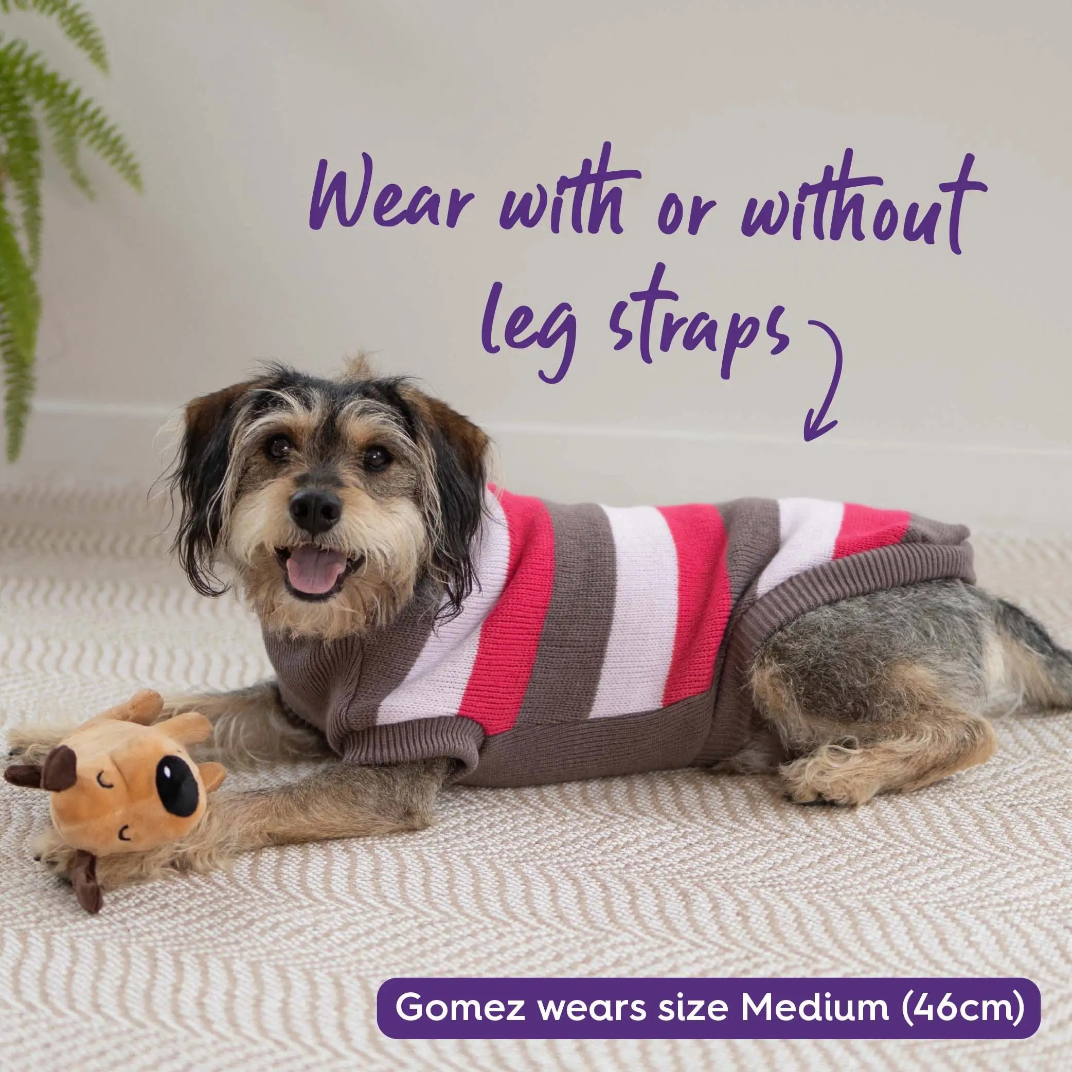 Chestie Dog Jumper - Pink