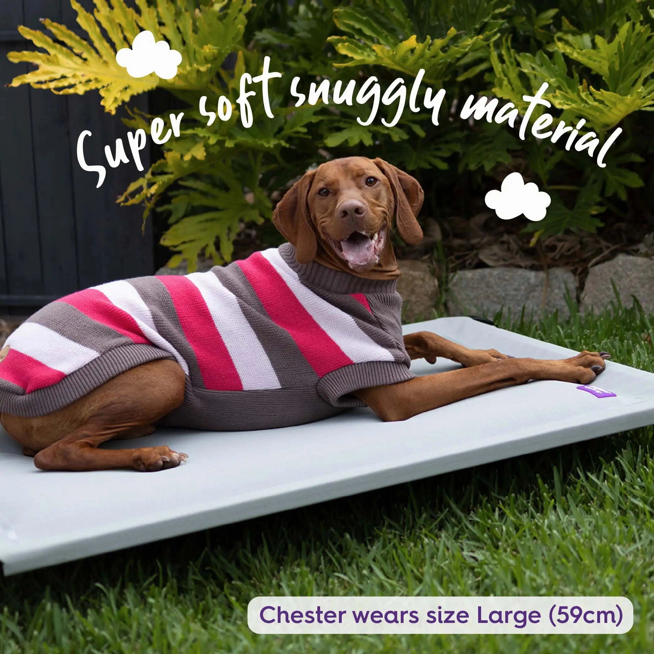Chestie Dog Jumper - Pink