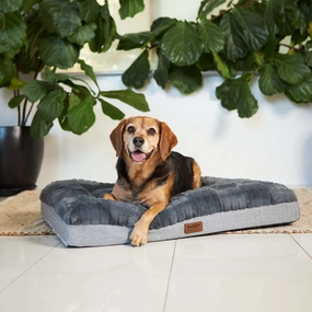 Cloud Comfort Dog Bed - Charcoal & Grey