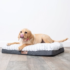 Cloud Comfort Dog Bed