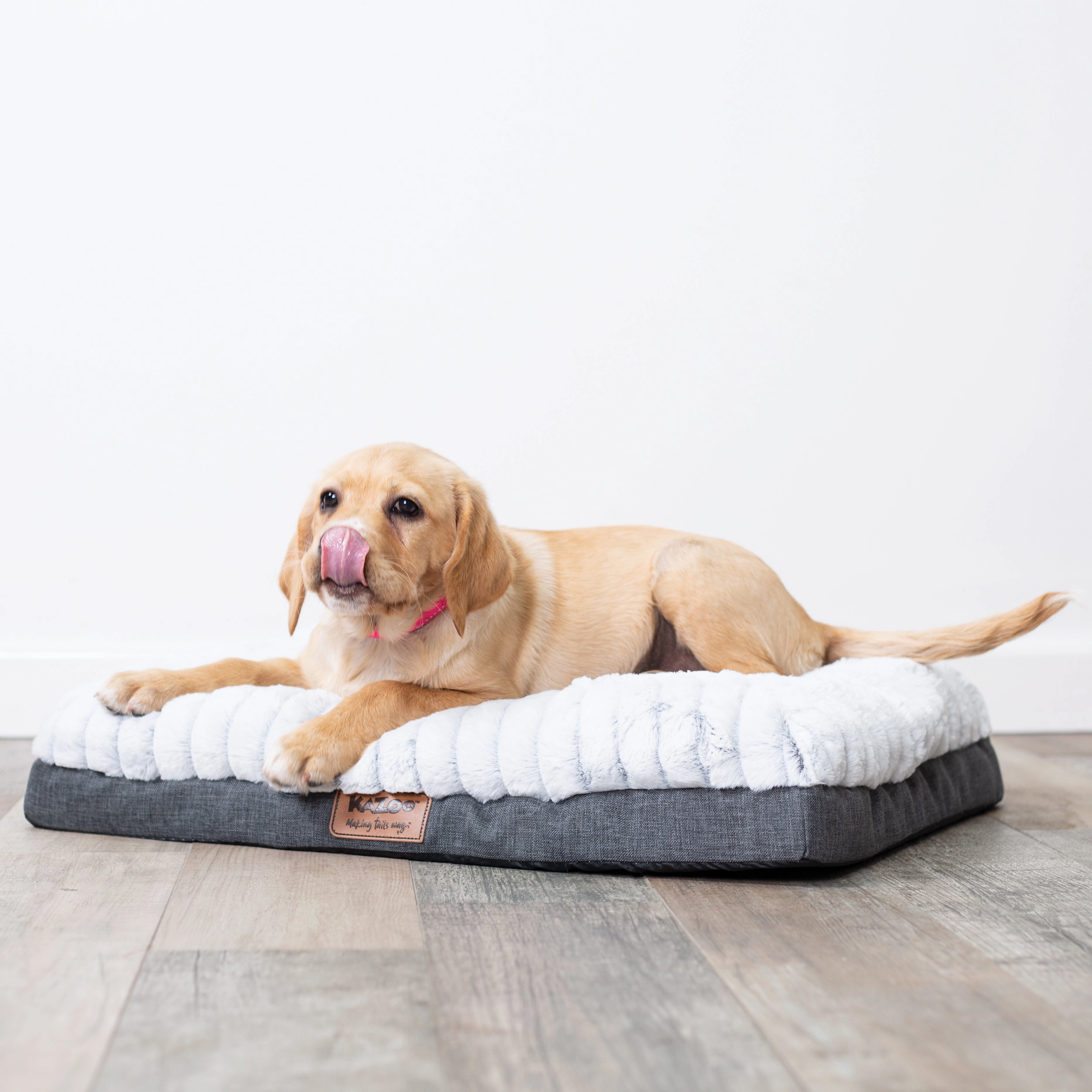 Cloud Comfort Dog Bed