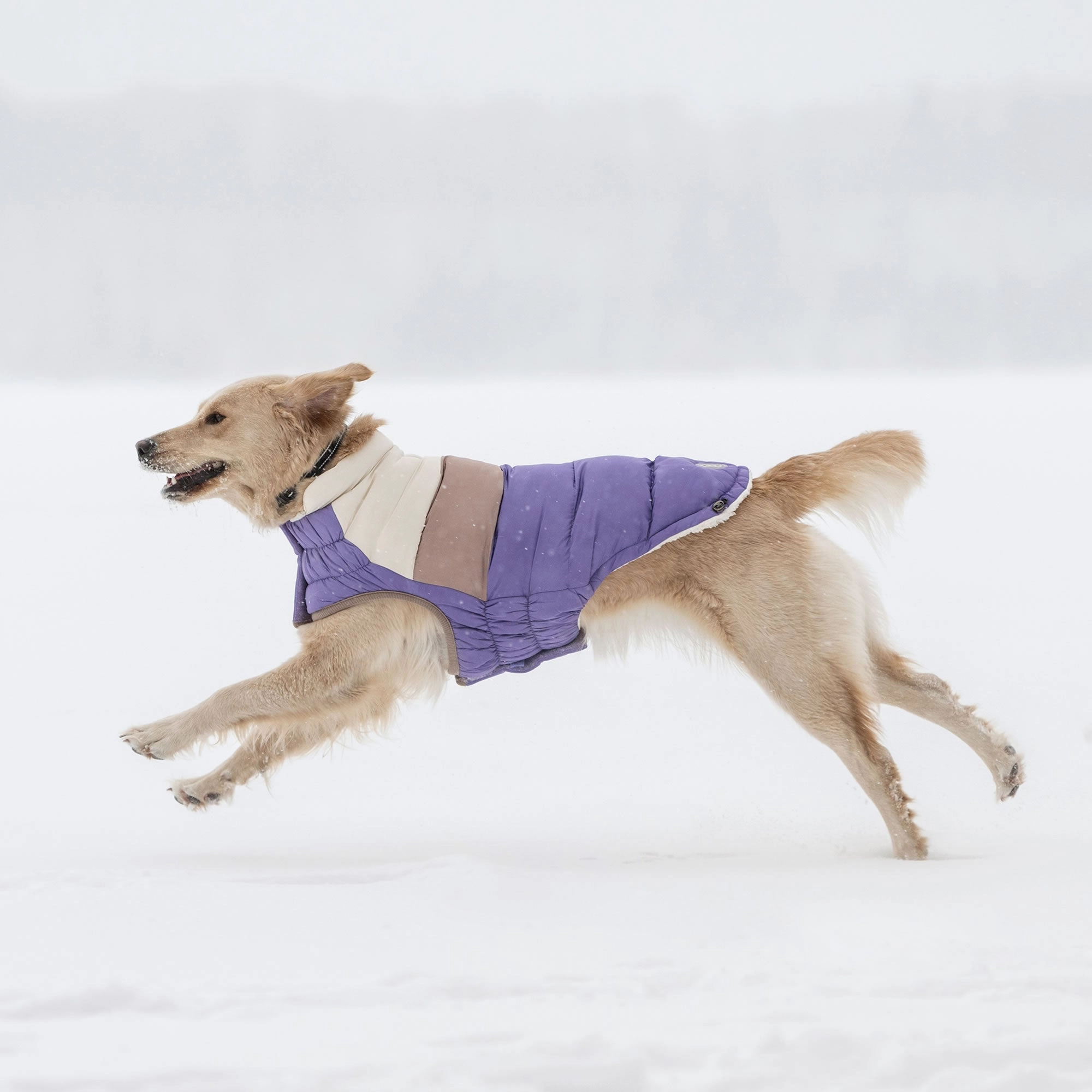 Color Block Dog Puffer Winter Coats