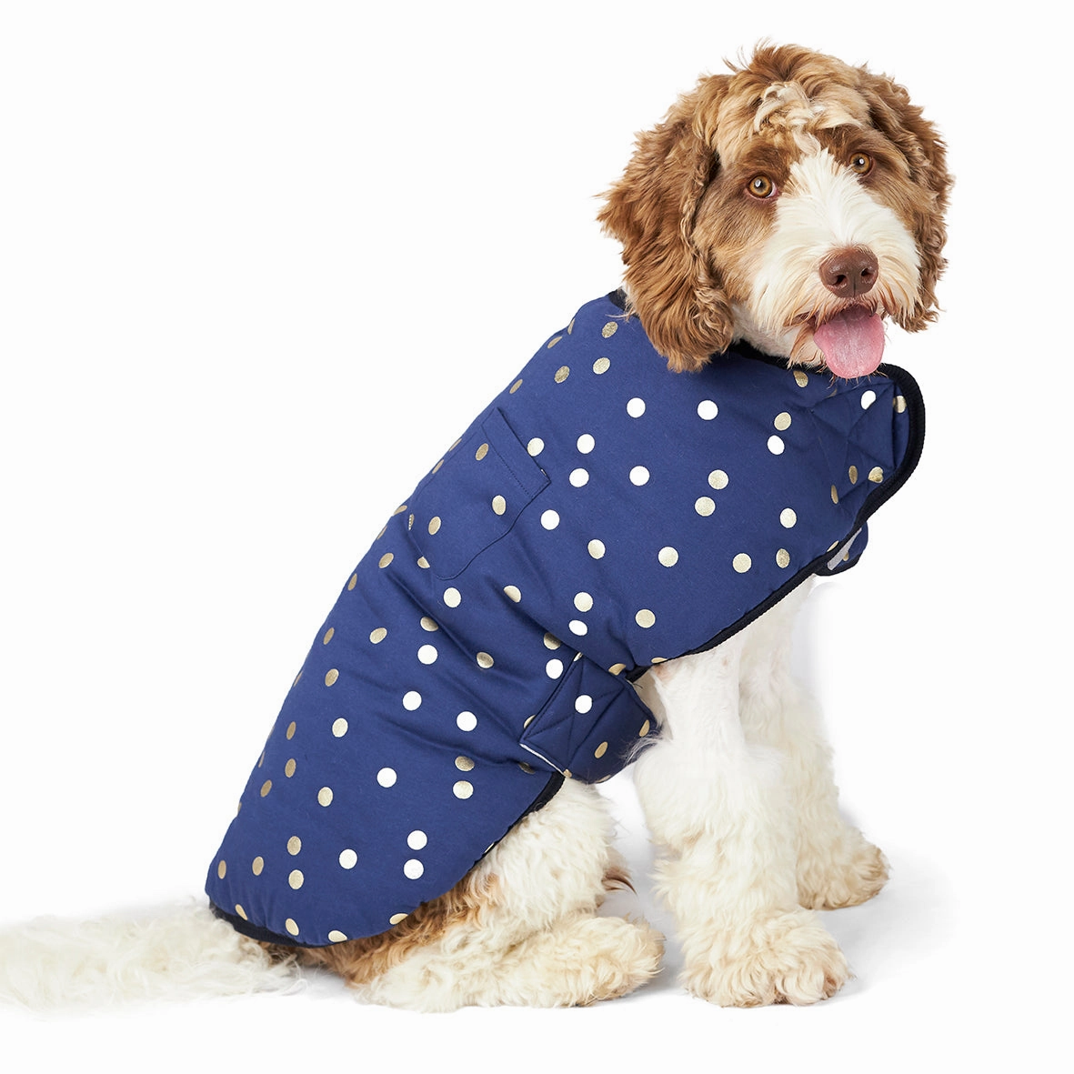 Confetti Snuggie Dog Jacket
