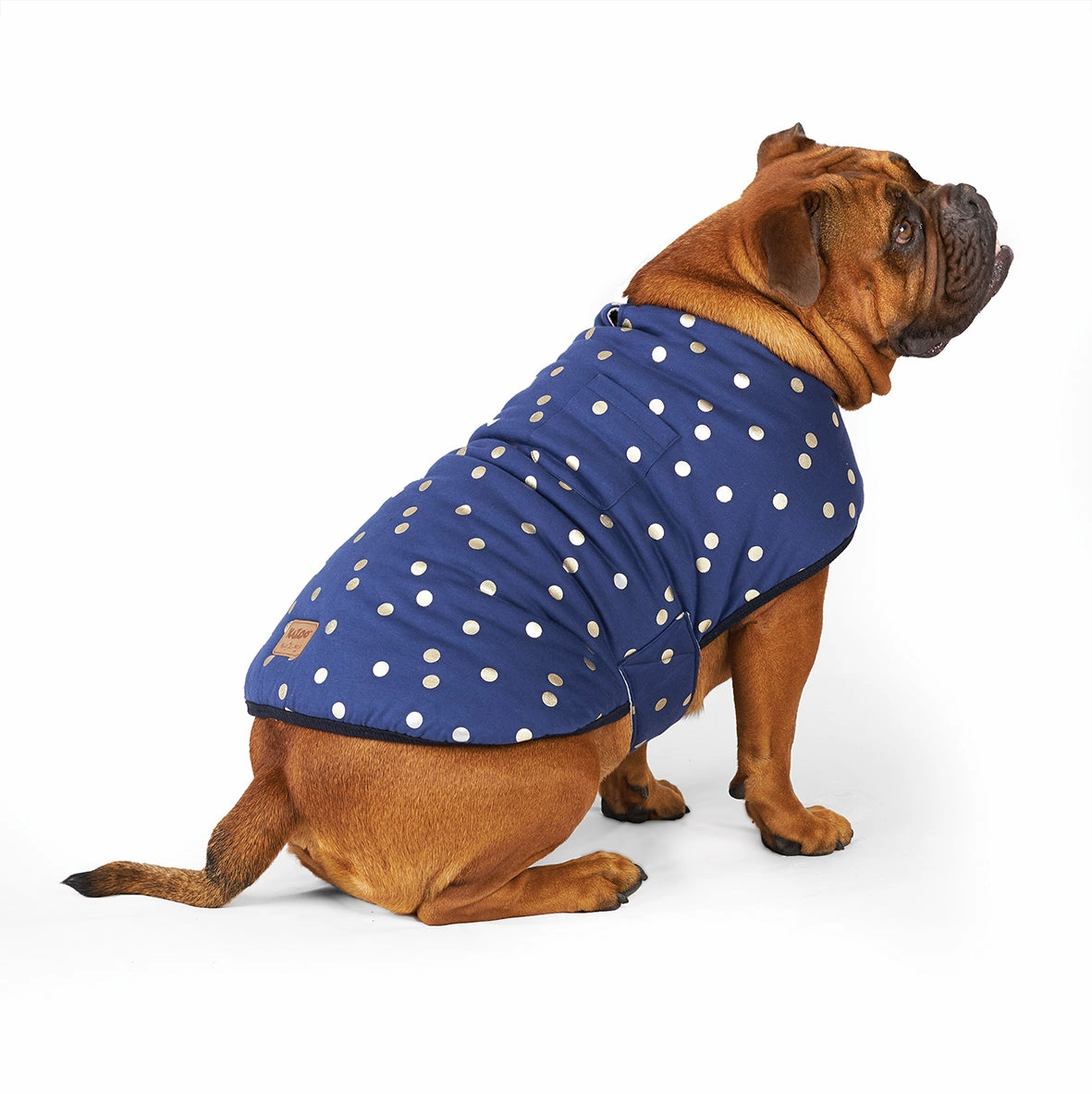 Confetti Snuggie Dog Jacket