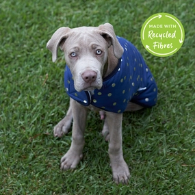 Confetti Snuggie Dog Jacket