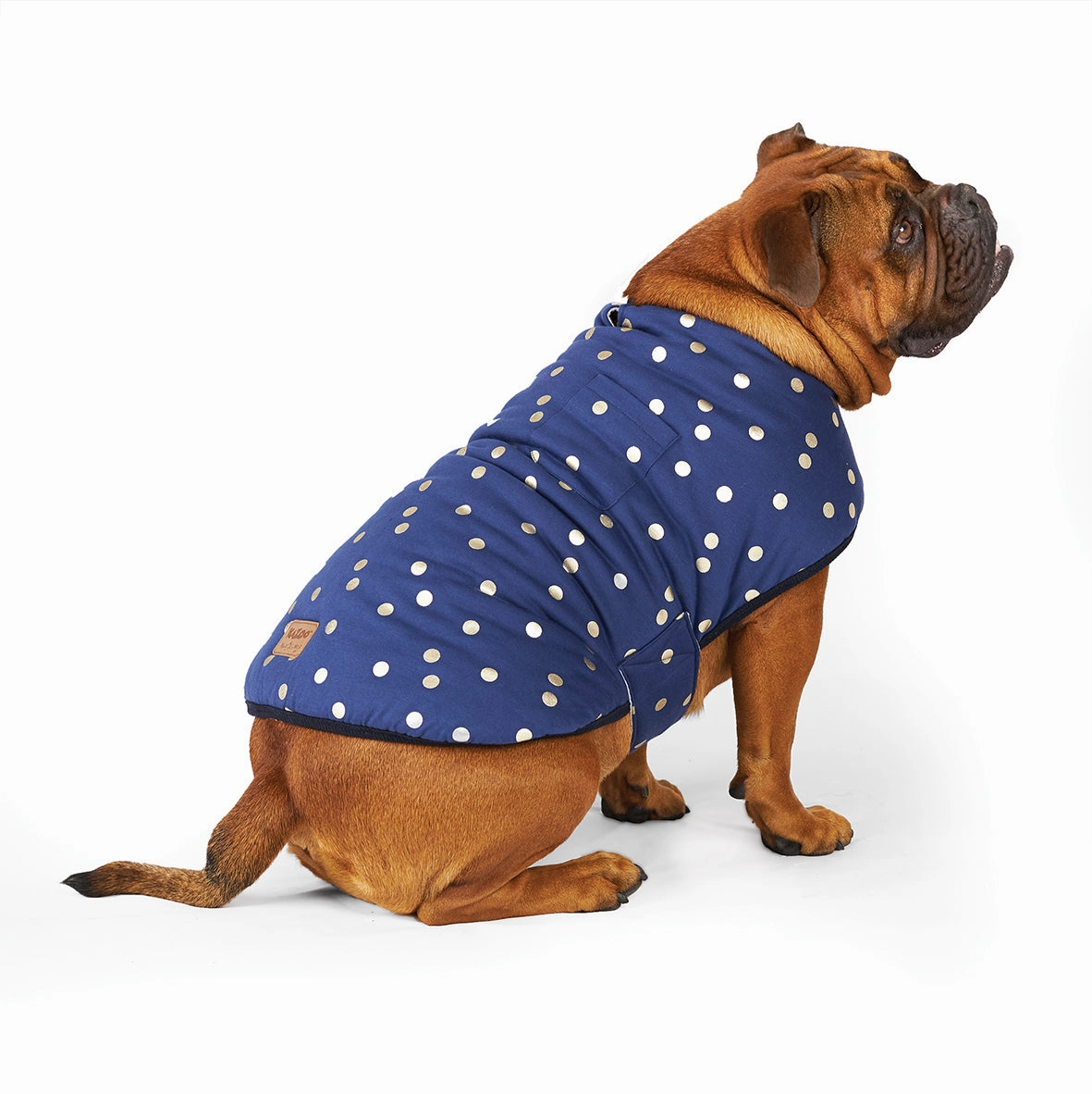 Confetti Snuggie Dog Jacket