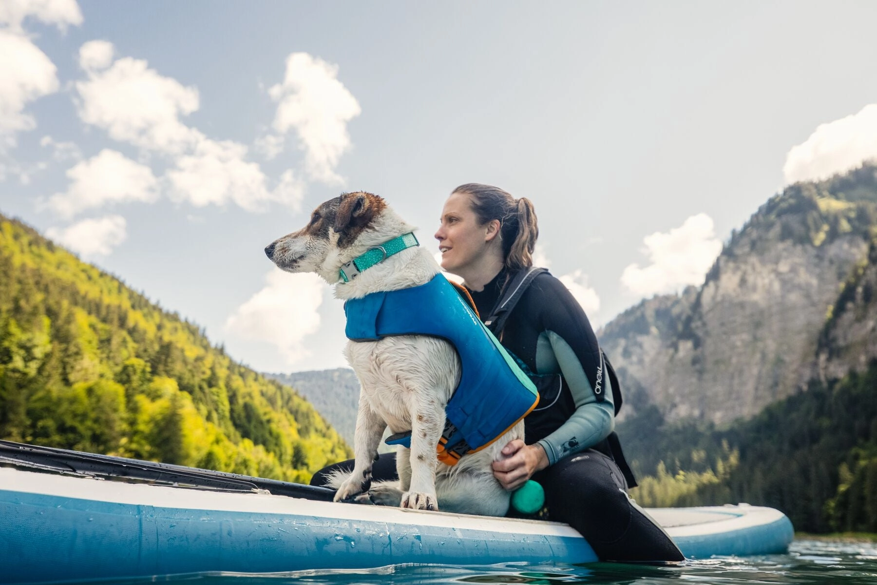 Confluence Waterproof Dog Collars