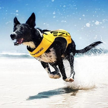 DFD X2 Boost Dog Life Vest