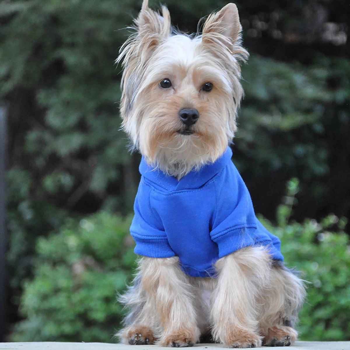 Dog Flex-fit Hoodies