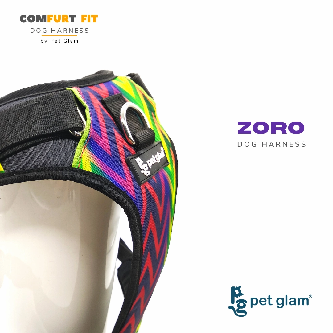Dog Harness Zoro-Padded Harness for Dogs