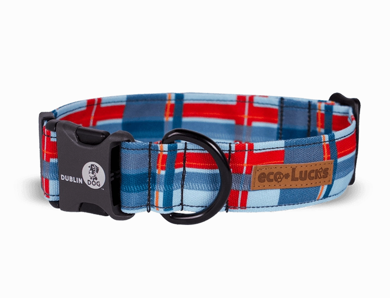 Dublin Dog Eco Lucks Dog Collar - Large Harbor
