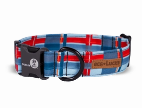 Dublin Dog Eco Lucks Dog Collar - Large Harbor