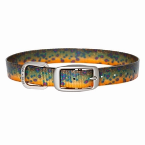 Dublin Dog KOA Waterproof Collar Brook Trout Large/XL