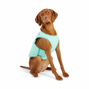 Elasto-Fit Dog Cooling Ice Vest  - Aqua