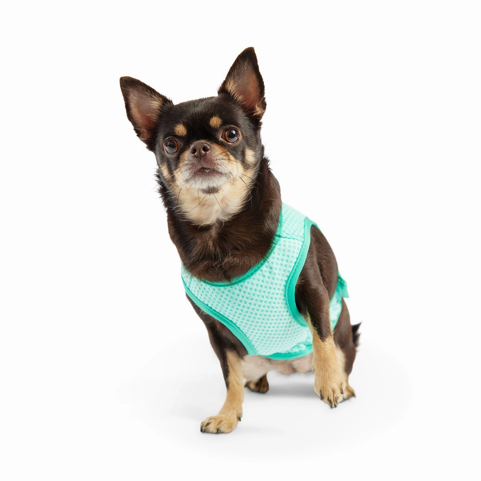 Elasto-Fit Dog Cooling Ice Vest  - Aqua