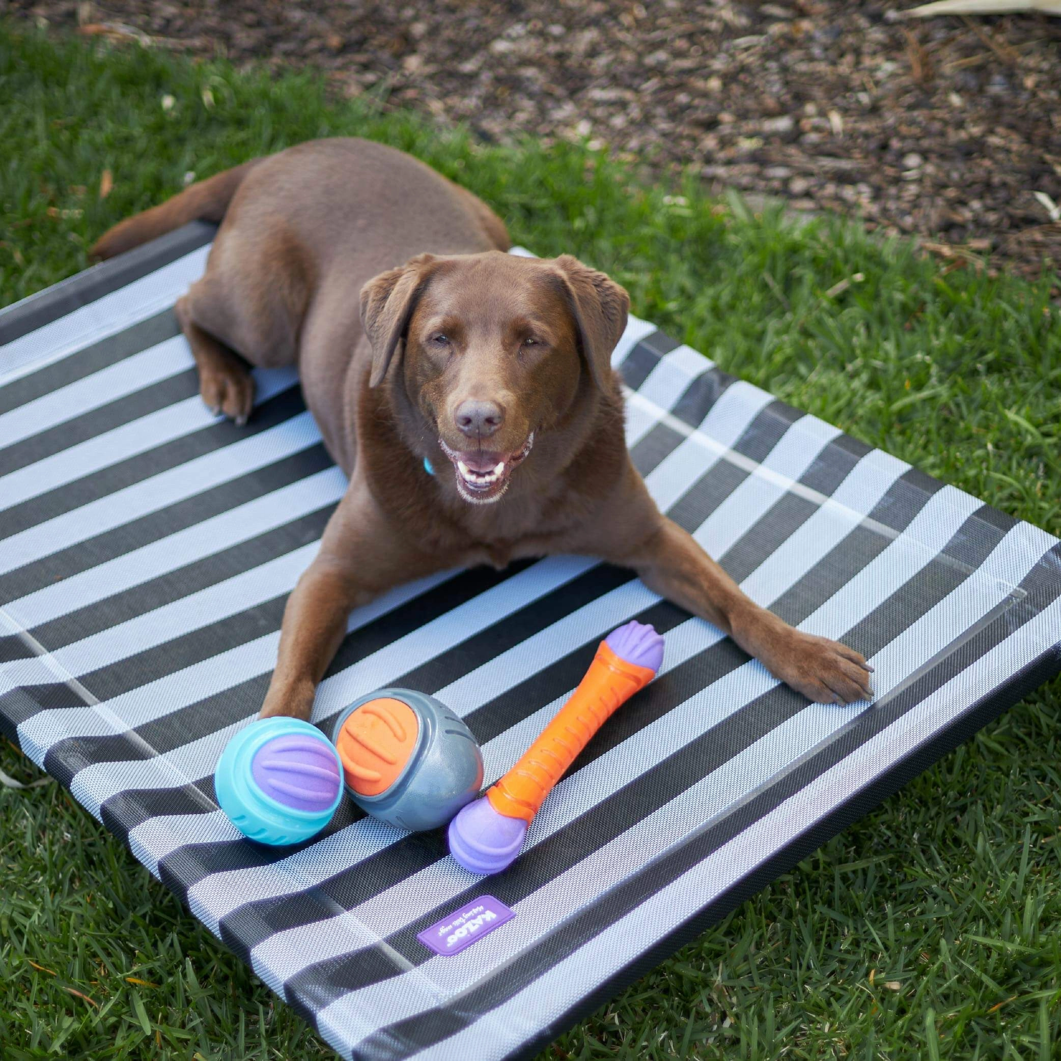 Everyday Outdoor Dog Bed - Black & White
