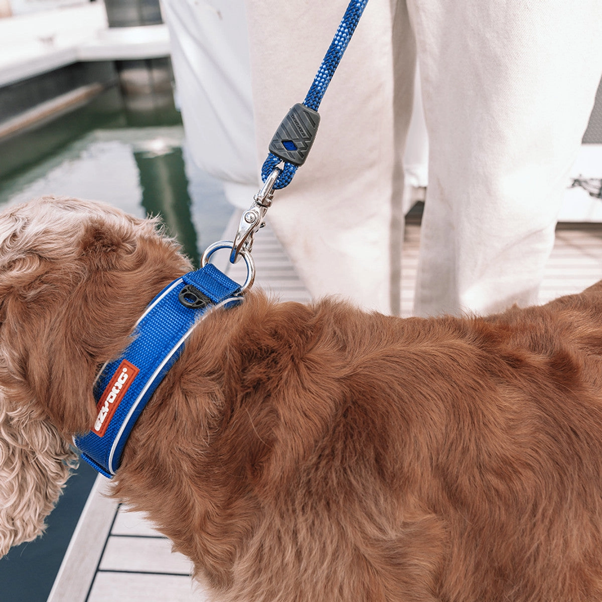 Ezydog Neo Collar | Neoprene Dog Collars