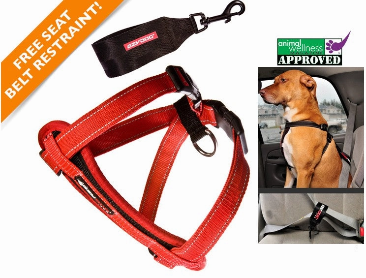 EzyDog Padded Chest Harness