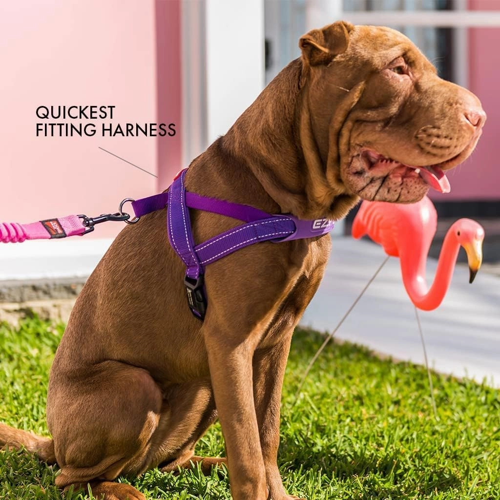 EzyDog Quick Fit Harness