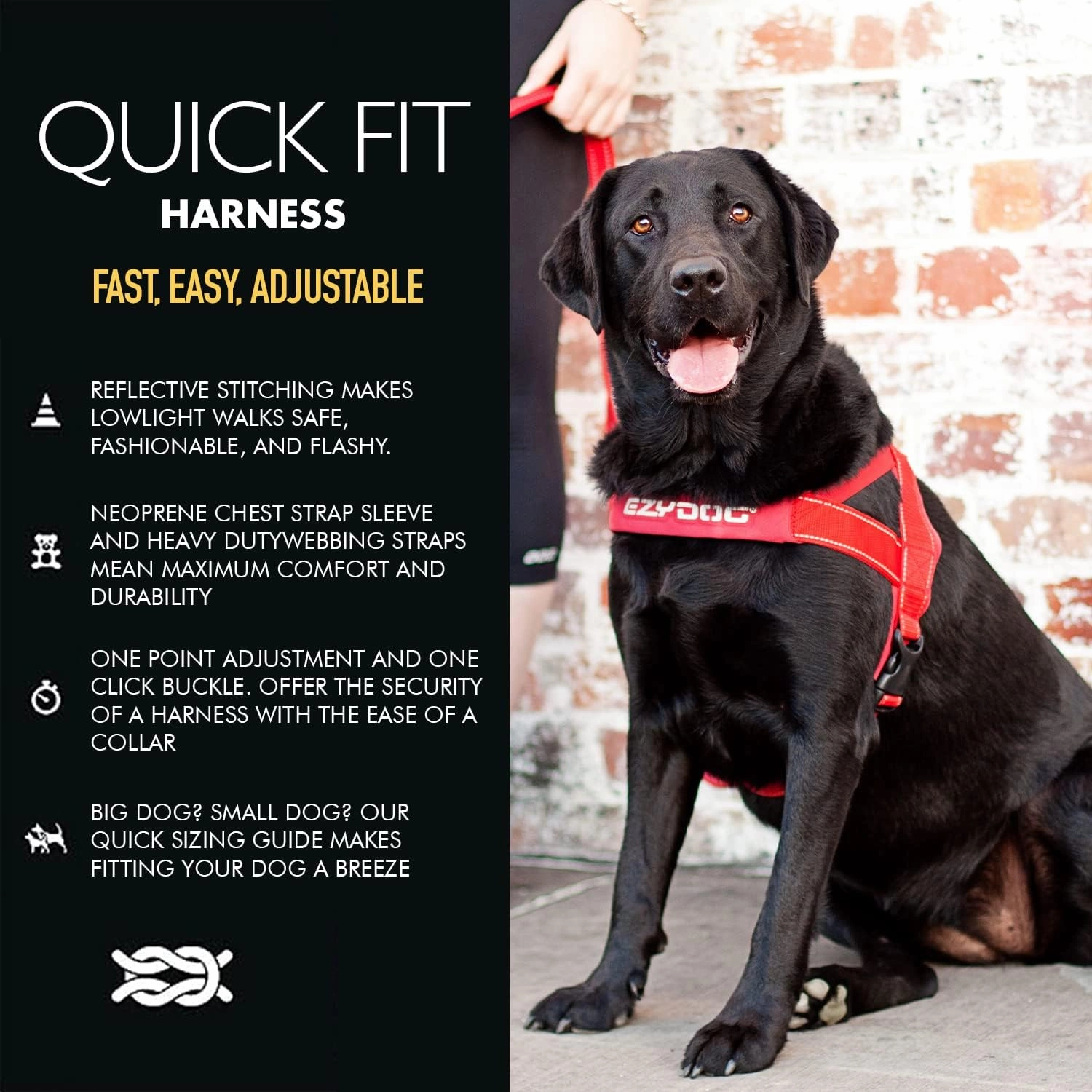 EzyDog Quick Fit Harness
