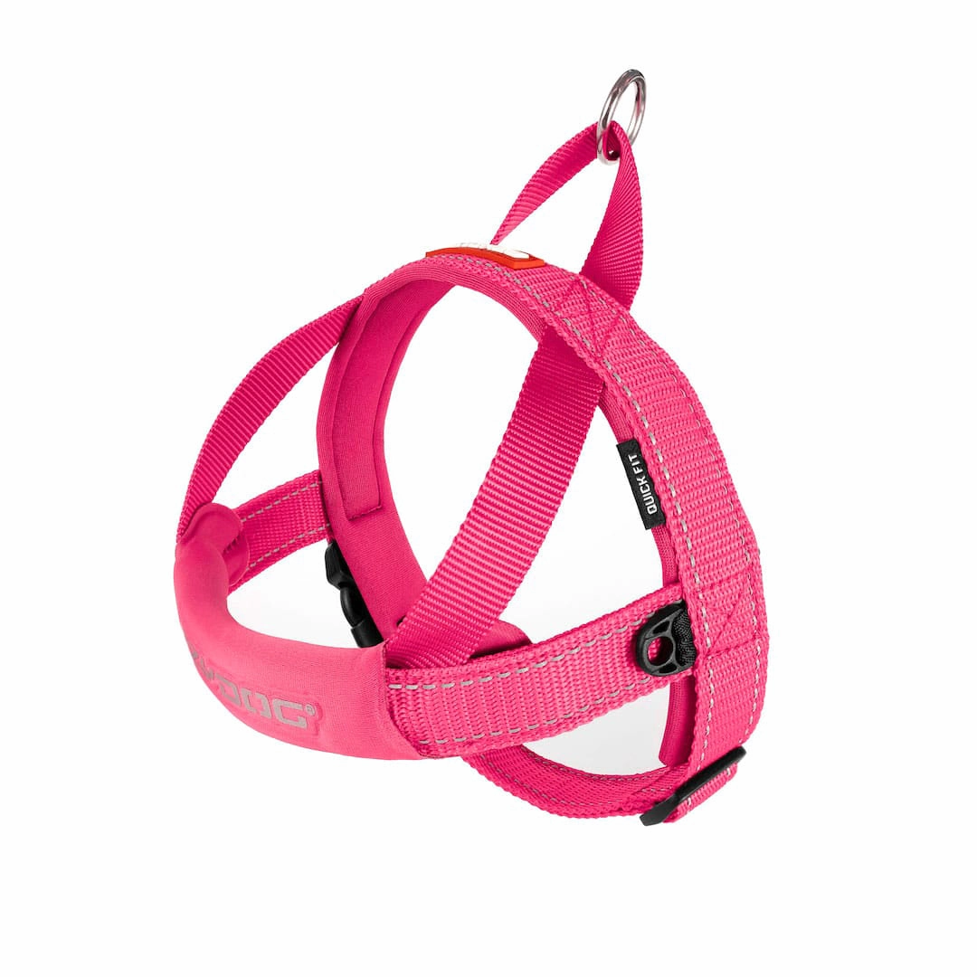 EzyDog Quick Fit Harness