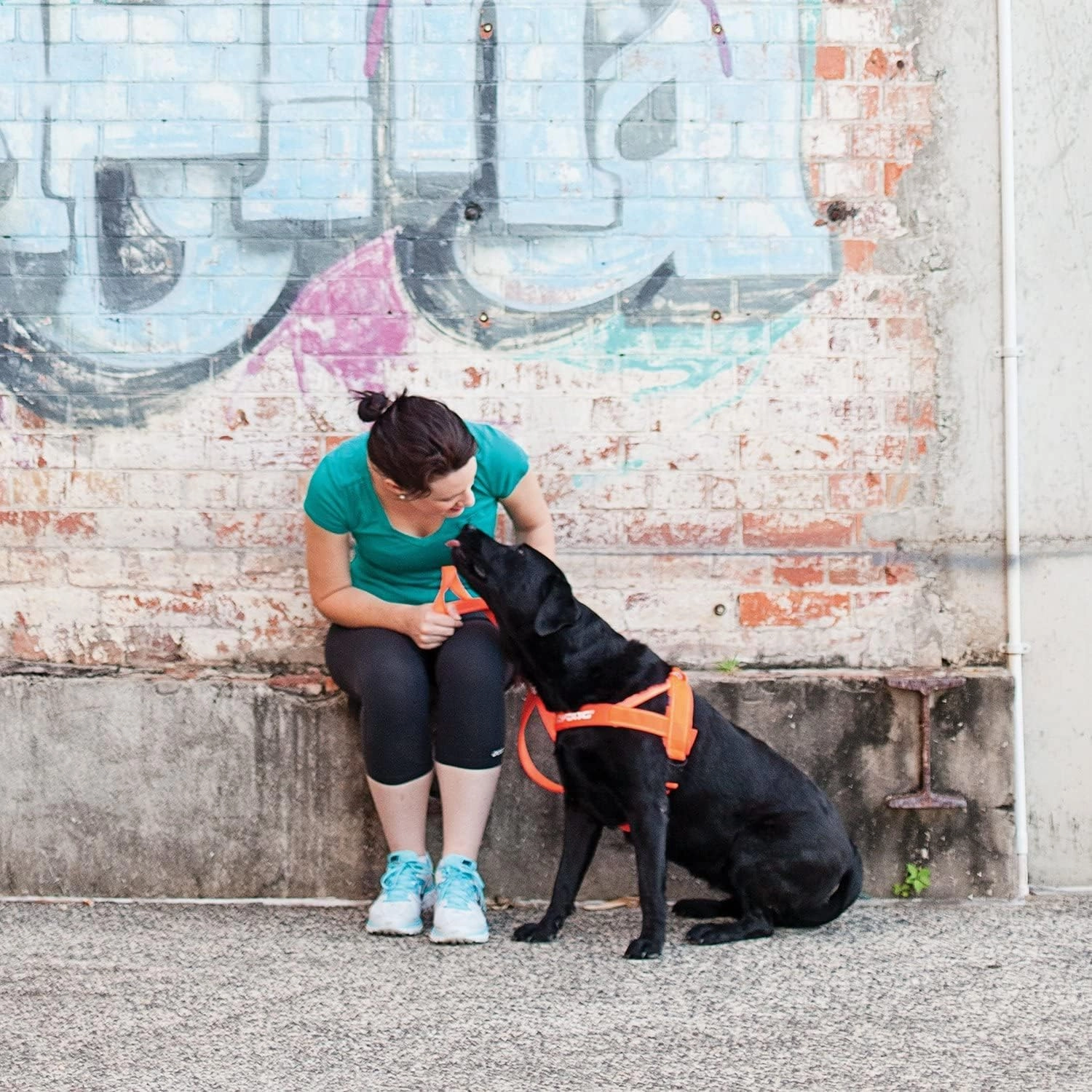 EzyDog Quick Fit Harness