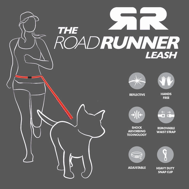 EzyDog Road Runner Hands Free Leash