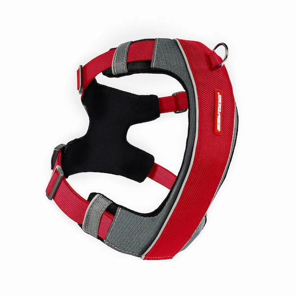 Ezydog X-Link Padded Dog Control Harness