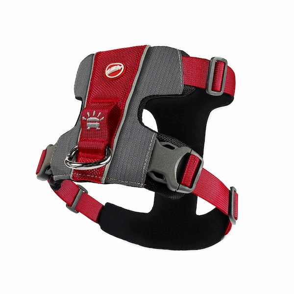 Ezydog X-Link Padded Dog Control Harness
